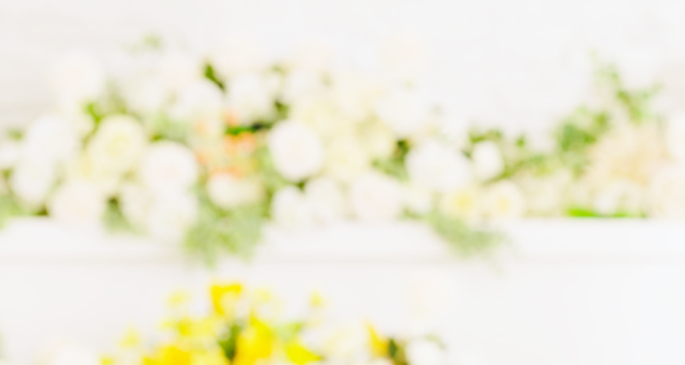 静岡･愛知の葬儀・お葬式なら家族葬のトワーズ®  背景イメージ